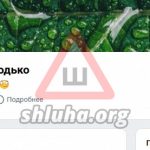 CREATOR: gd-jpeg v1.0 (using IJG JPEG v62), quality = 93